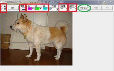 G摜̎荞݂̂߂̐ݒ ̉